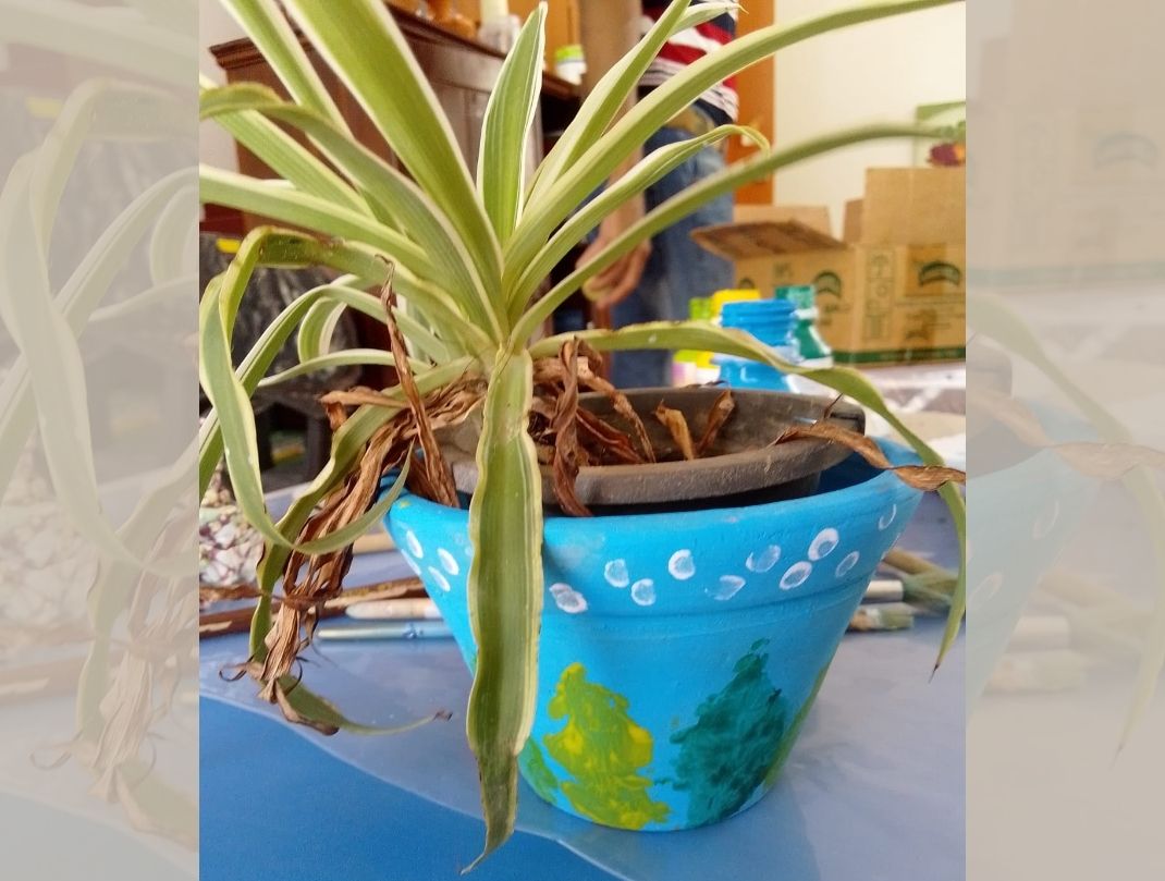 POT PAINTING