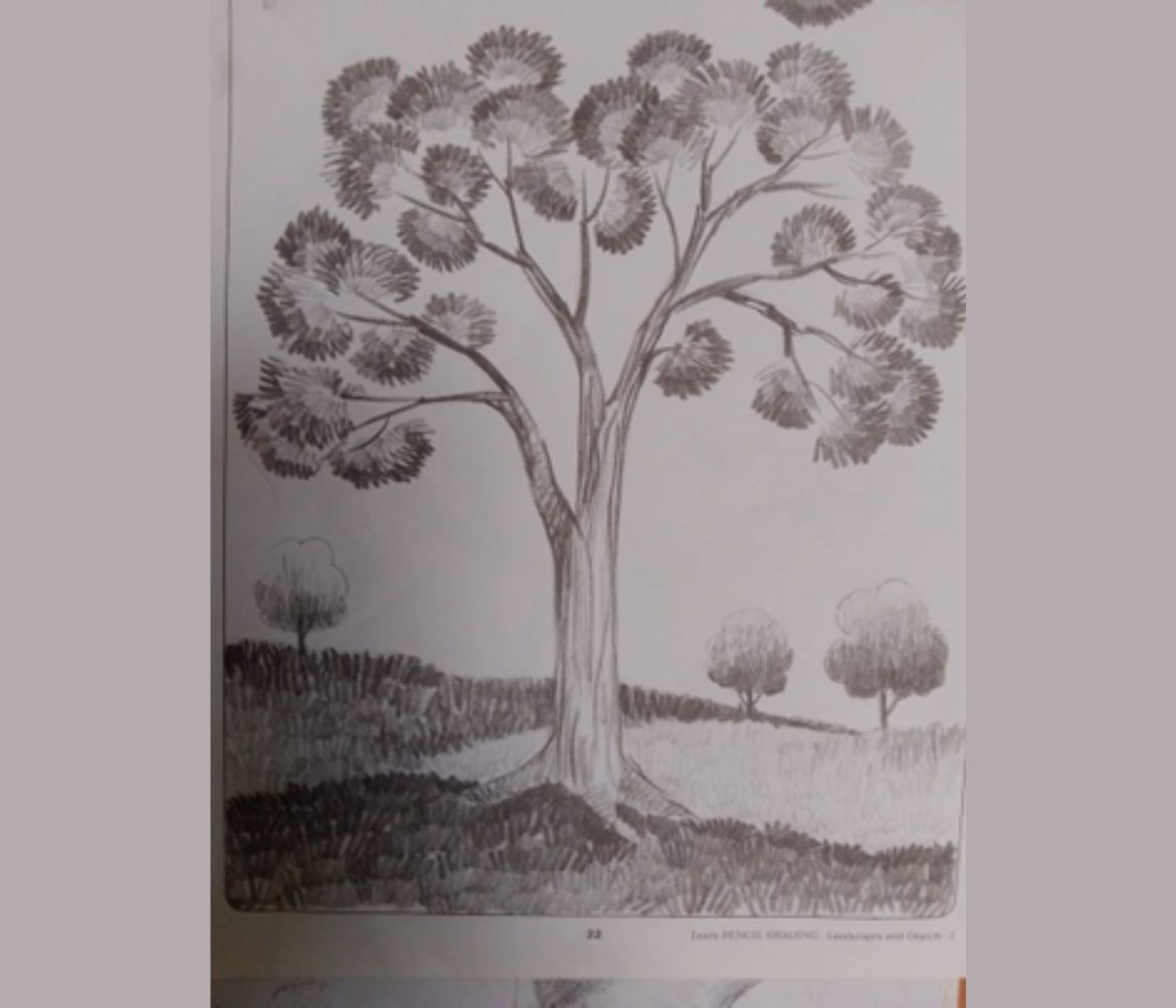 Pencil Drawing/Shadings Pencil Drawing/Shadings